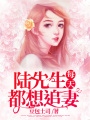 陸先生每天都想追妻