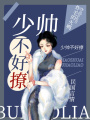 少帥不好撩