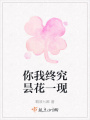 你我终究昙花一现