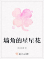 墻角的星星花