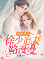 新婚錯(cuò)愛(ài)：徐少追妻路漫漫