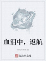 血淚中，返航