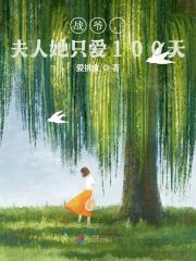 主人公乔憬小说战爷，夫人她只爱100天在线全文阅读