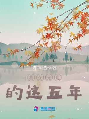 我在光電的這五年