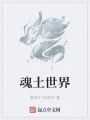 魂土世界