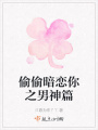 偷偷暗戀你之男神篇