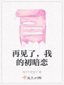 再見了，我的初暗戀