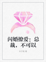 閃婚撩愛：總裁，不可以