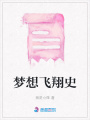 夢想飛翔史