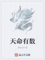 天命有數(shù)