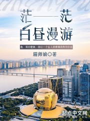茫茫白晝漫游