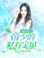 盛世豪門：帝少的私有寶貝