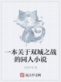 一本關于雙城之戰的同人小說