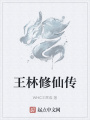 王林修仙傳