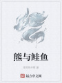 熊與鮭魚