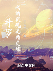 斗羅：我的武魂是精靈球！