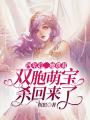四年后，她帶著雙胞萌寶殺回來了