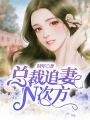 總裁追妻N次方
