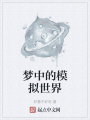 夢中的模擬世界