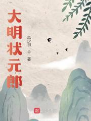 大明状元郎朱由校张好古，大明状元郎最新章节-经典文学