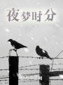夜夢(mèng)時(shí)分