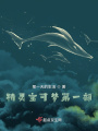 精靈寶可夢(mèng)第一部
