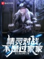 精靈對戰，不是過家家