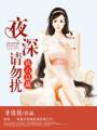 鉆石總裁：夜深請勿擾