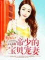 帝少的寶貝寵妻