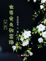 穿越女尊寵夫致富路
