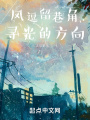 風(fēng)逗留巷角，尋光的方向