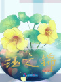 鈺之錦