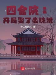 林祯秦淮茹（四合院：开局娶了娄晓娥小说）精彩章节在线阅读-冰糖文学