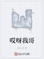 哎呀我哥