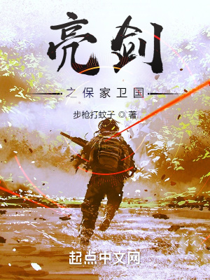 亮劍之保家衛國