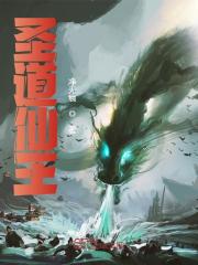 小说《圣道仙王》在线免费阅读