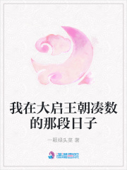 我在大啟王朝湊數的那段日子