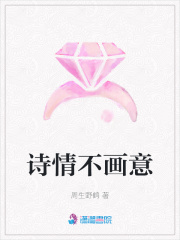 詩情不畫意