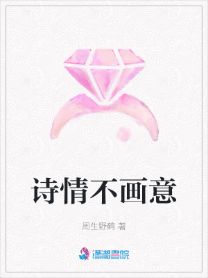 詩情不畫意