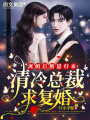 離婚后攜崽歸來(lái)：清冷總裁求復(fù)婚！