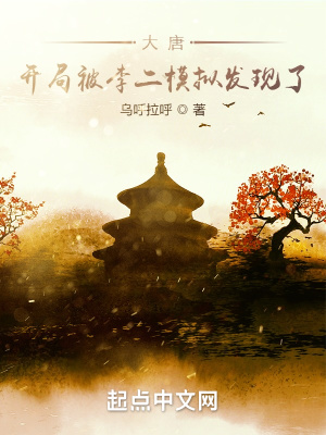 大唐：開局被李二模擬發現了