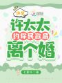 許總，許太太約你民政局離個婚