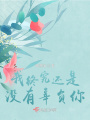 我終究還是沒有辜負你