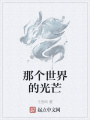 那個(gè)世界的光芒