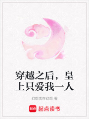 穿越之后，皇上只愛我一人