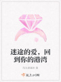 迷途的愛，回到你的港灣