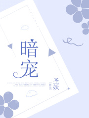 暗寵