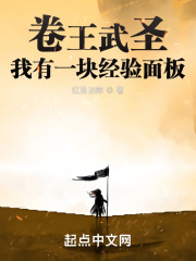 卷王武圣：我有一塊經(jīng)驗面板