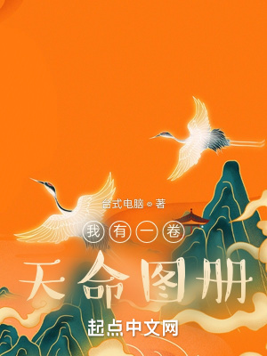 我有一卷天命圖冊