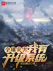 全球災害：我有升級系統